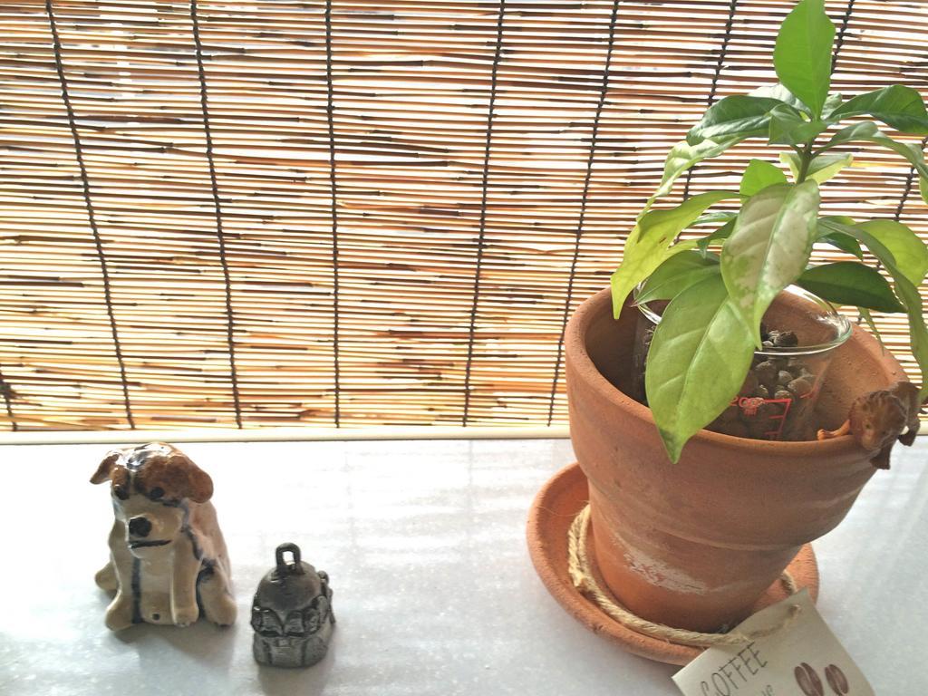 Guesthouse Oasis Ōsaka Extérieur photo